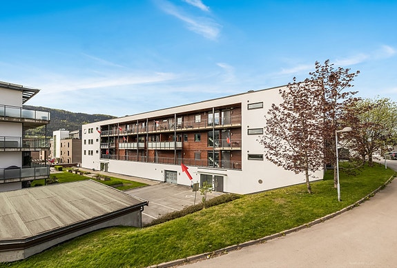Fra leiligheten er det kort gangavstand til det meste du måtte trenge i hverdagen