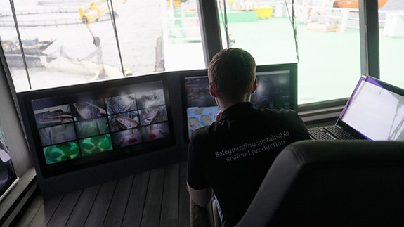 Bedriftens profilbilde