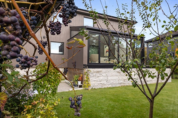 Hagen har fine beplantninger, frukttrær og oppleves som en frodig, skjermet oase. Foto: Eivind Lauritzen