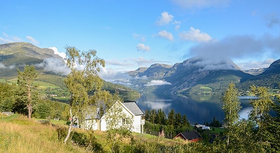 Steintræet boligfelt ligger sentralt i Vang, ca. 1,5 km fra Grindaheim/sentrum. Flott utsikt mot Vangsmjøse og mektige fjell som blant annet Grindane, Bergsfjellet, Skutshorn og Vennisfjellet