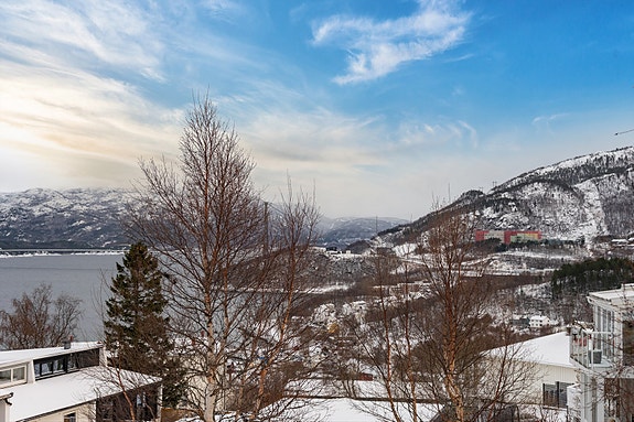 Utsikt fra eiendommen