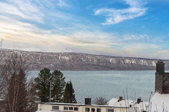 Utsikt mot Herjangsfjellet