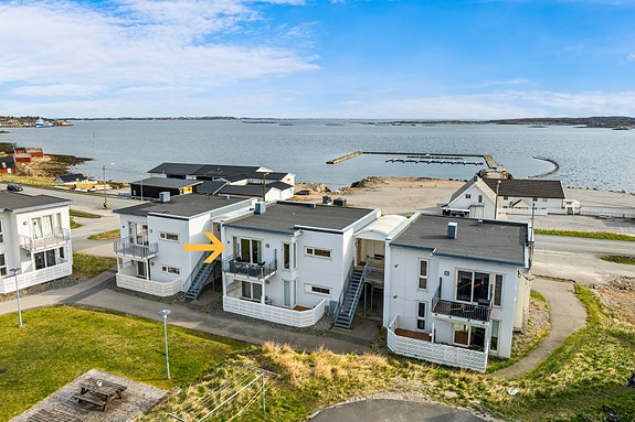 Velkommen til Rabbastien 4 D!