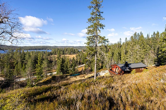 Velkommen til Holmvassvegen 56 - Lars Jakob Aarak har gleden av å presentere denne flotte familiehytta.