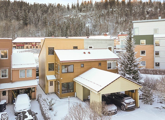 Velkommen til Hjorthehaven 58!