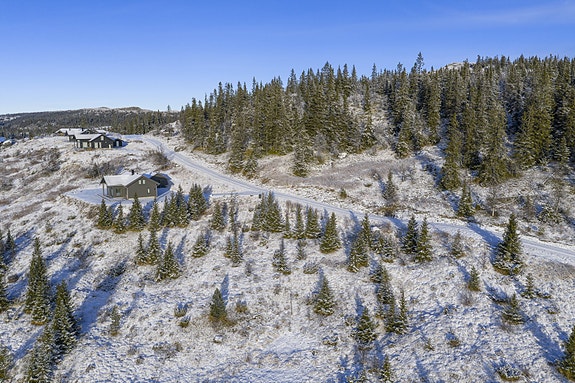 Velkommen til Nystølen hyttefelt! (Foto: Tor Solberg)