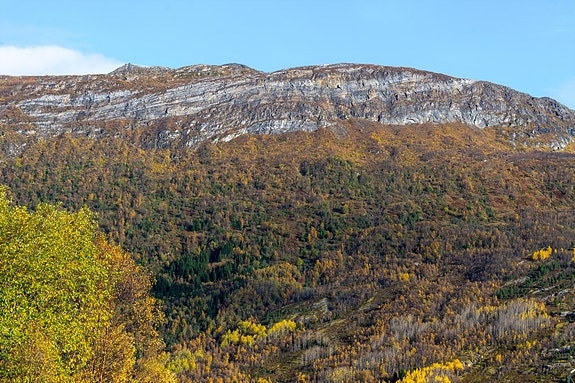 Flott utsikt fra soverom 3 mot vakker natur