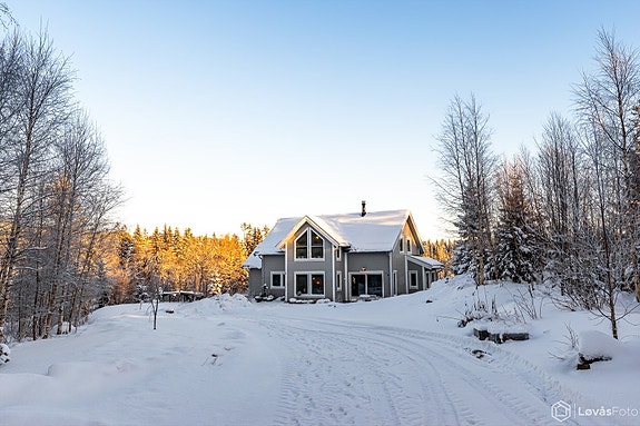 Velkommen til Maridalen. Fotograf: Løvås foto