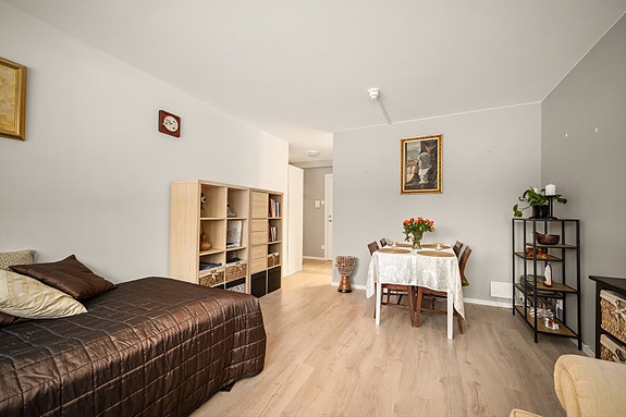 Praktisk og lettstelt 1-Roms!