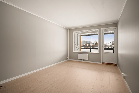 Hyggelig atmosfære med plass til både sofa, spisebord og planter.