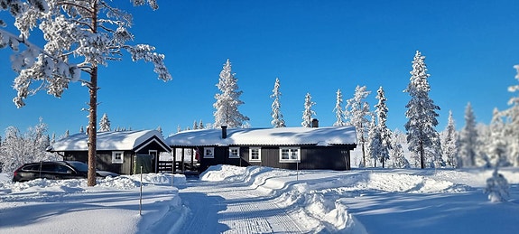 Velkommen til Østby og Ryskdalen hytteområde 119!