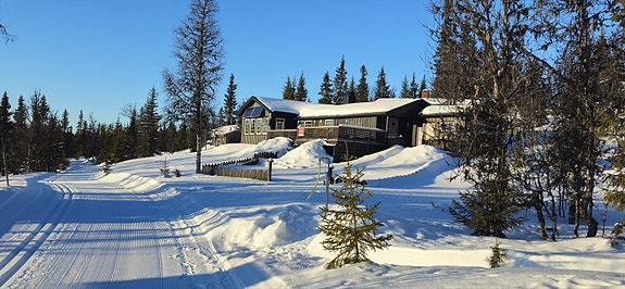 Velkommen til Skvaldra 30!