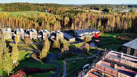 Sjekk ut flotte Bodalsholtet 16!