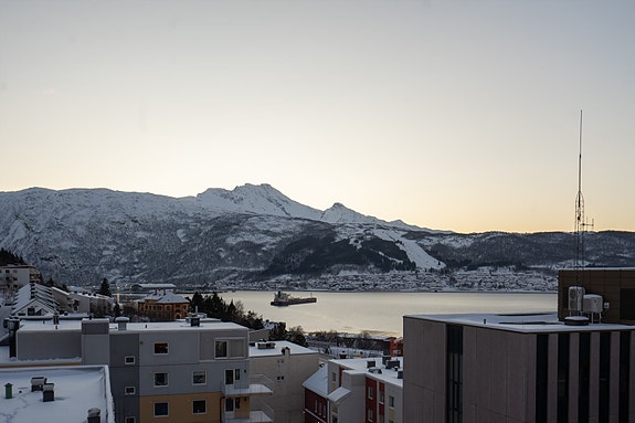 Utsikt fra felles takterrasse.