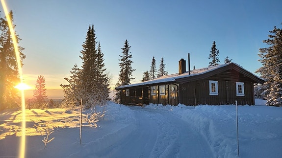 Velkommen til Ryskdalen hytteområde 250! Ei koselig og velholdt familiehytte helt øverst i Ryskdalen