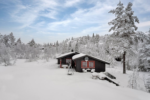 Velkommen til Tvitjønnåsen 84!