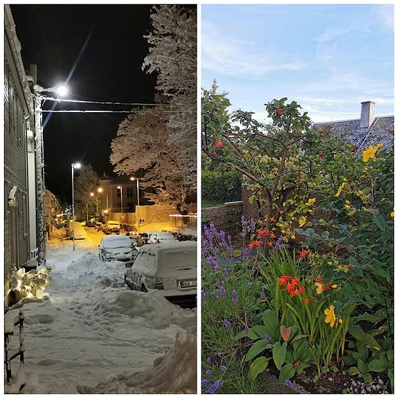 vinter i gata og høsthage