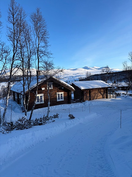 Velkommen til Lauvhaugen 33! Foto: Ivar Flagestad