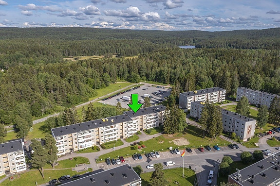 Vil du bo med marka som nærmeste nabo?
Haraløkka borettslag ligger helt inntil markagrensa. Marka med sine uante turmuligheter sommer som vinter, befinner seg så å si i "bakgårdshagen din"!