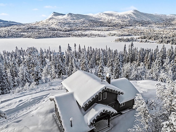 Velkommen til Kollen 81 ved Helgesetvatnet!
Eiendomsfoto: Fotograf EIE og Uthus.