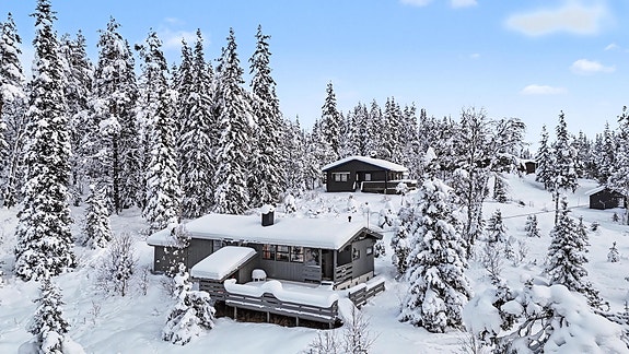 Velkommen til Hamartjernvegen 4- en koselig hytte med utsikt utover Hamartjern hvor det er fiskemuligheter!