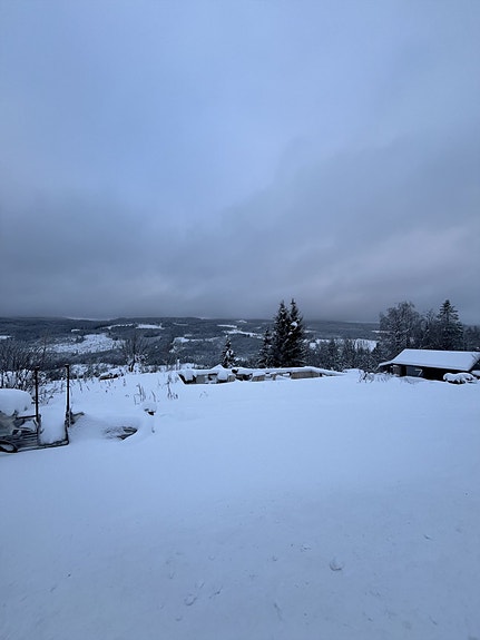 Velkommen til Øverbygdsvegen 1032! Foto: Privat.
