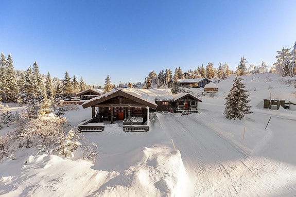 Aktiv v/Anne Åsne Seljordslia har gleden av å presentere Nutestulvegen 24! Foto: Fodima AS