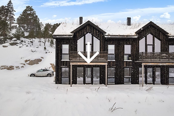 Exbo / Inge Johan Jenssen har gleden av å presentere Ballenlia 2 for salg!