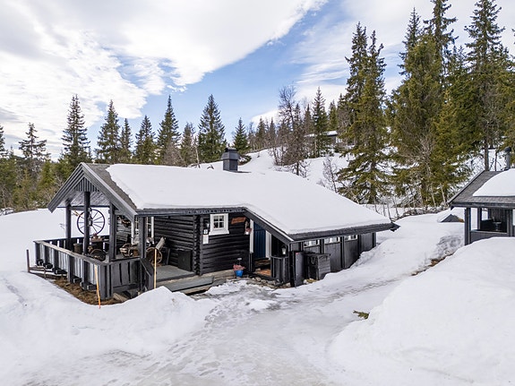 Velkommen til Svartvasslia 9, presentert av Privatmegleren v/ Elias Kaulum!