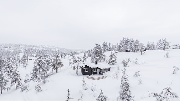 Oversikt Velkommen til Felehovet Sør 5!