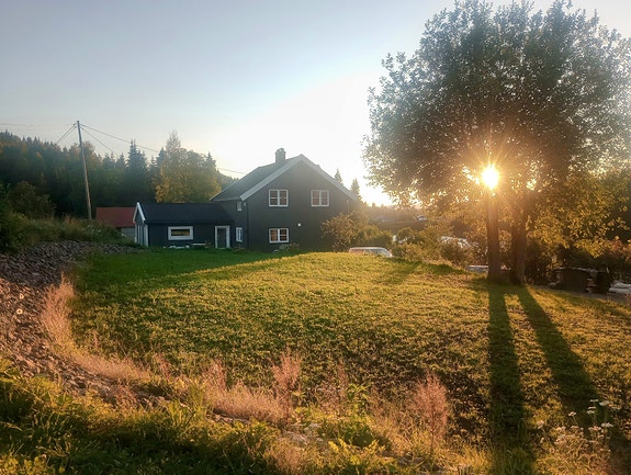 Tomten er opparbeidet nylig av selger. Privat bilde fra selger