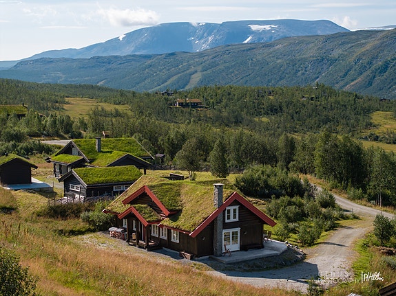 Lokal Eiendomsmegler MNEF/Partner/Økonom - Ådne Holestøl Hognerud ønsker velkommen til flotte Bøkkovegen