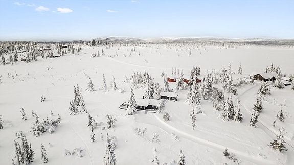 Velkommen til Lauvlia 37!