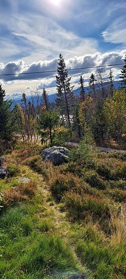 Sommerutsikt over frodig landskap og turstier.