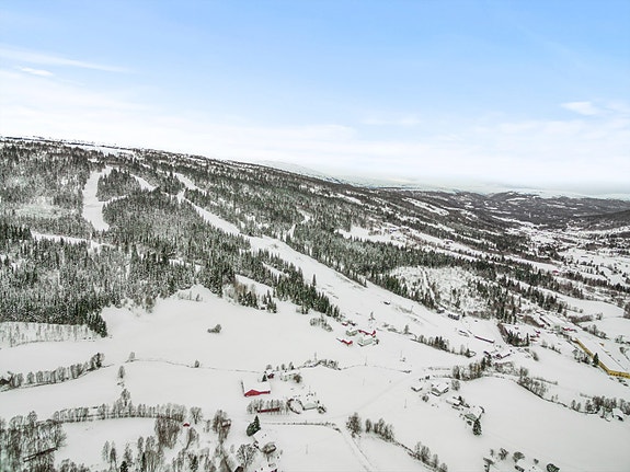 Velkommen til Ålen hyttegrend, og disse flotte hyttetomtene på ca. 1 000 kvm. Foto: Interiørfoto v/ Haukdal.