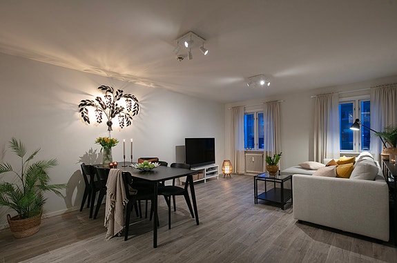 Velkommen til Grønnegata 63, presentert av Petter Bakke.
Foto: Pil Branding (Kim Rognmo).