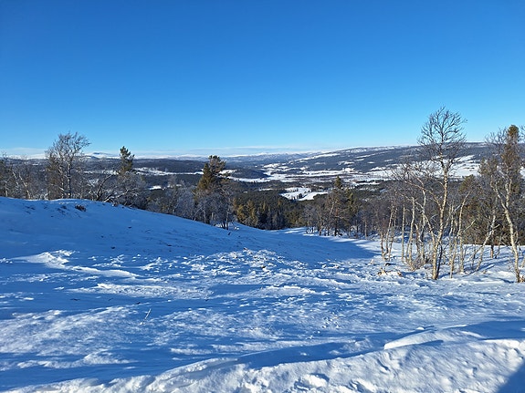 Utsikt fra tomt mot Dalsbygda og Forollhogna Nasjonalpark