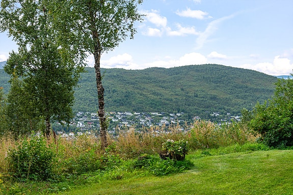 Felles grøntområdet.