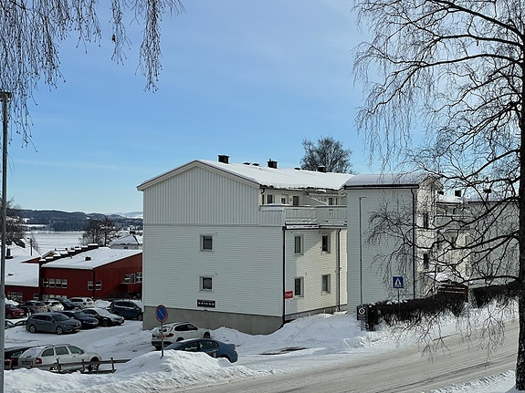 Lys og fin leilighet i høy 1. etasje.