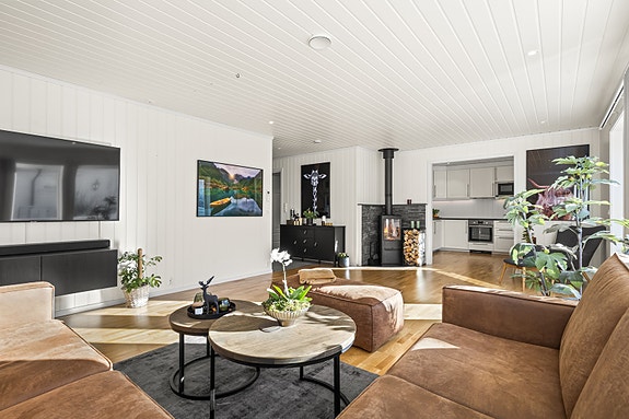 Vedovn med stålpipe gir effektiv oppvarming i oppholdsrommet.
Foto: Fotoetcetera