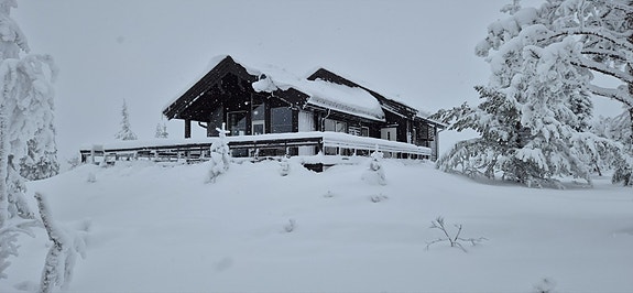 EiendomsMegler1 v/Ann Helén Jamtveit presenterer Stemtjønnvegen 201! -Privat bilde-