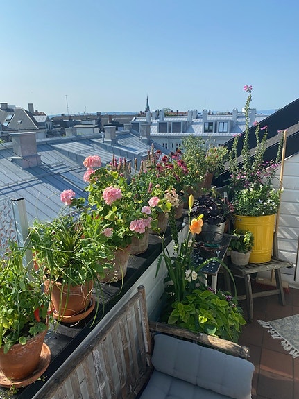Leiligheten har solrik takterrasse