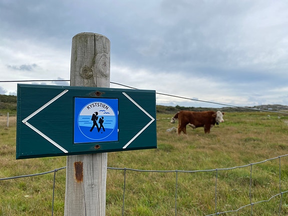 Bilde fra arbeidsgiver