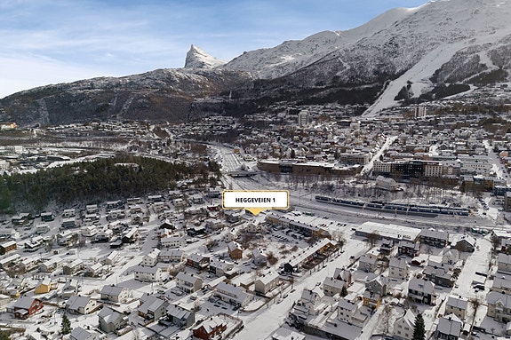 drone med pil -1 (1).jpg