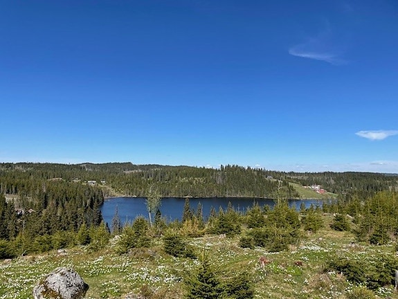 Nydelig utsikt fra fritidstomt beliggende øverst ved populære Lensmansvika, selve indrefileten i Nordmarka.