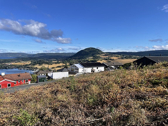Flott utsikt mot Brandbukampen. Brandbukampen er en skogås i Gran kommune i Innlandet, beliggende straks nordøst for Røykenvik. Den er 522 meter høy, med bratte sider. Fra toppen har man en glimrende utsikt over Randsfjorden og Hadelandsbygdene.