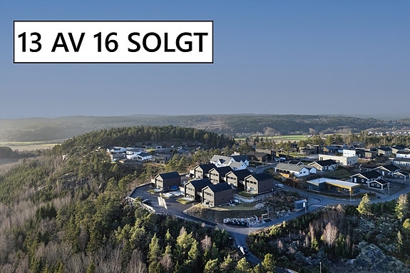 13 av 16 solgt !