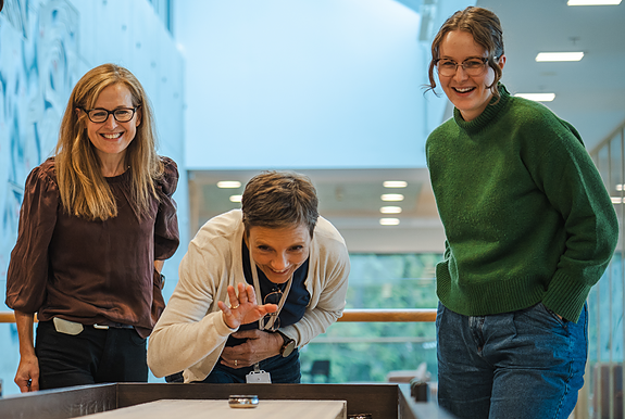 Bedriftens profilbilde