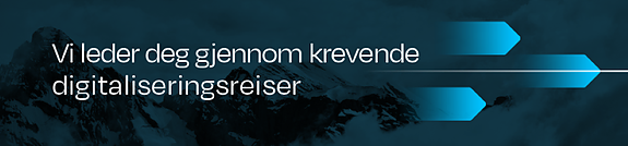 Bilde fra arbeidsgiver