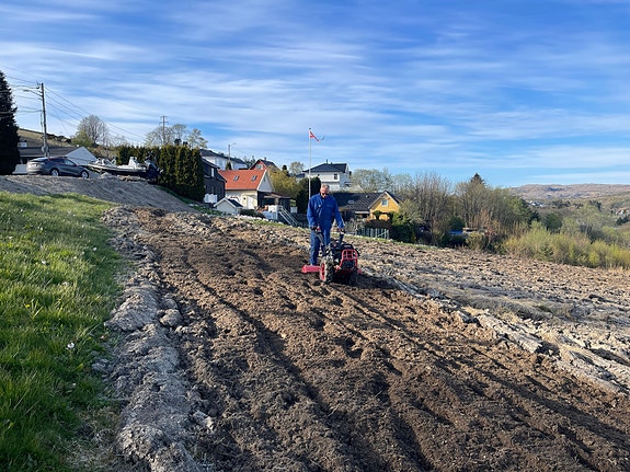 Product image 5 of 10